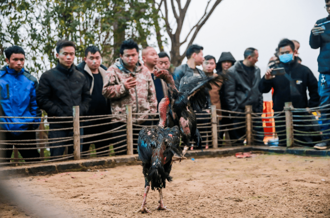 제우절(祭尤節)17
