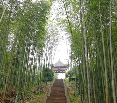 적수죽해삼림공원