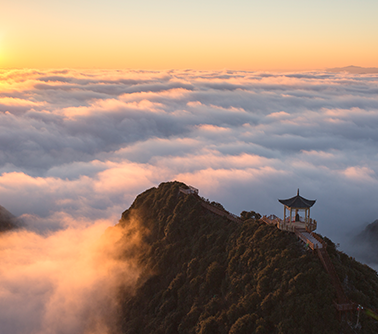 매화산삭도